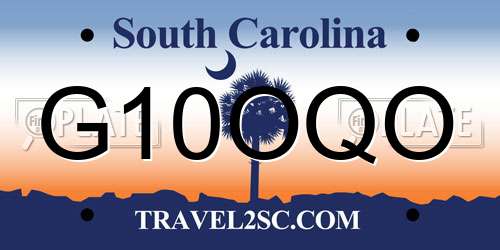 G10OQO South Carolina License Plate