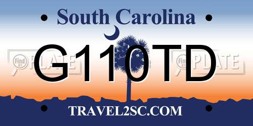 G110TD South Carolina License Plate
