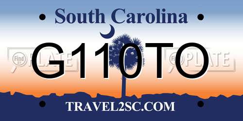 G110TO South Carolina License Plate