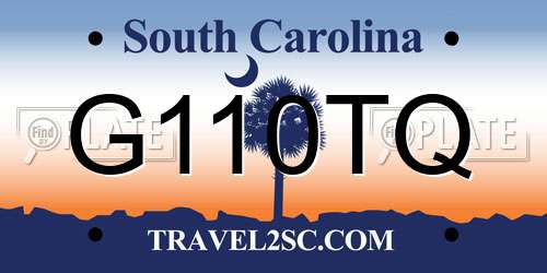 G110TQ South Carolina License Plate