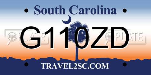 G110ZD South Carolina License Plate