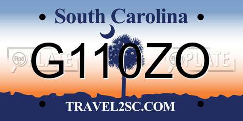 G110ZO South Carolina License Plate