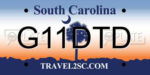 G11DTD South Carolina License Plate