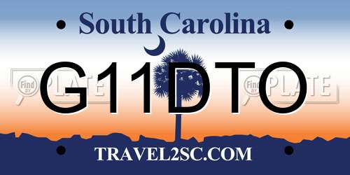 G11DTO South Carolina License Plate