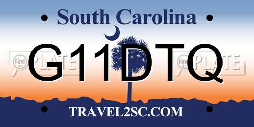G11DTQ South Carolina License Plate