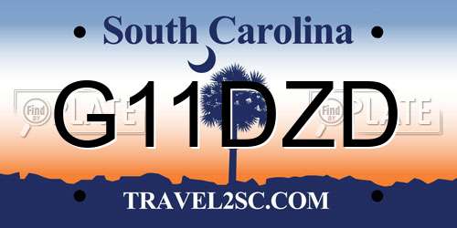 G11DZD South Carolina License Plate