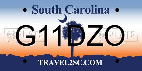 G11DZO South Carolina License Plate