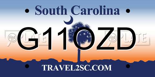 G11OZD South Carolina License Plate