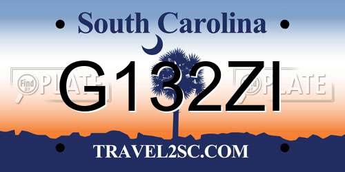 G132ZI South Carolina License Plate