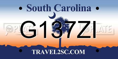 G137ZI South Carolina License Plate