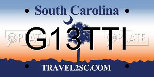 G13TTI South Carolina License Plate