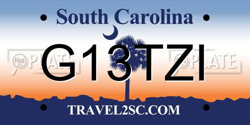 G13TZI South Carolina License Plate