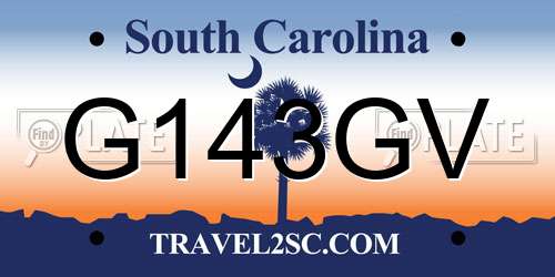 G143GV South Carolina License Plate