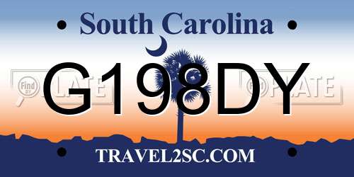 G198DY South Carolina License Plate