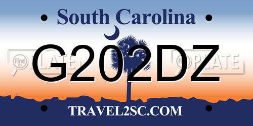G202DZ South Carolina License Plate
