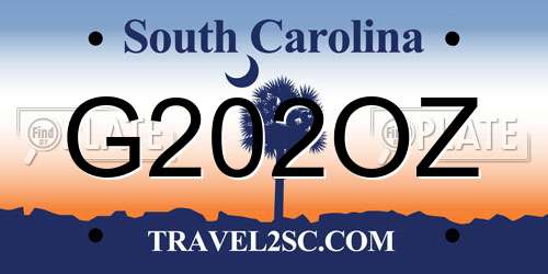 G202OZ South Carolina License Plate