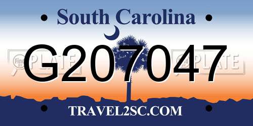 G207047 South Carolina License Plate