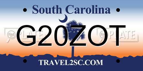 G20ZOT South Carolina License Plate