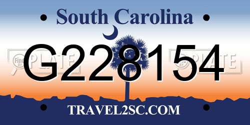 G228154 South Carolina License Plate