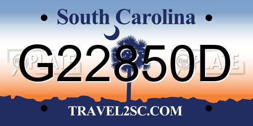 G22850D South Carolina License Plate