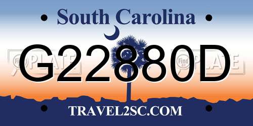 G22880D South Carolina License Plate
