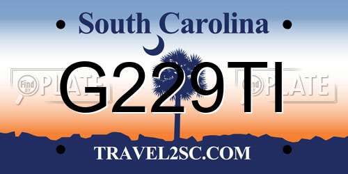 G229TI South Carolina License Plate