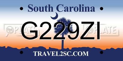 G229ZI South Carolina License Plate