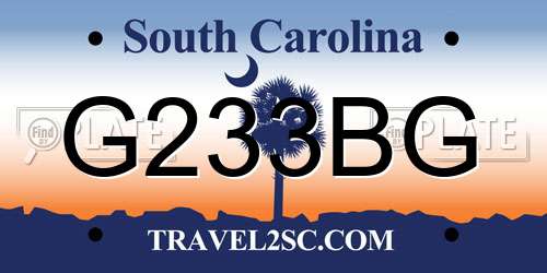 G233BG South Carolina License Plate