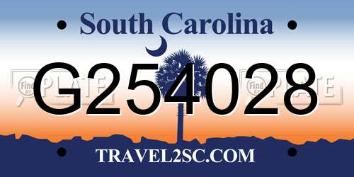 G254028 South Carolina License Plate