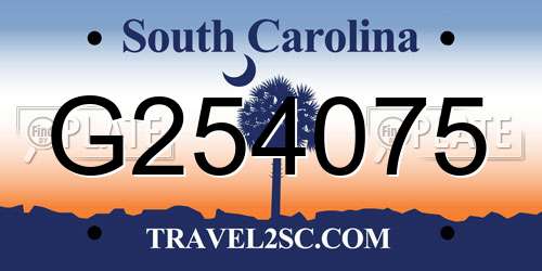 G254075 South Carolina License Plate
