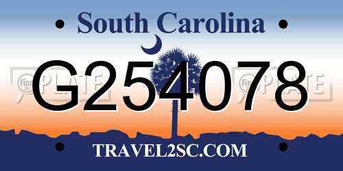 G254078 South Carolina License Plate