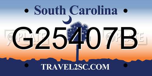 G25407B South Carolina License Plate