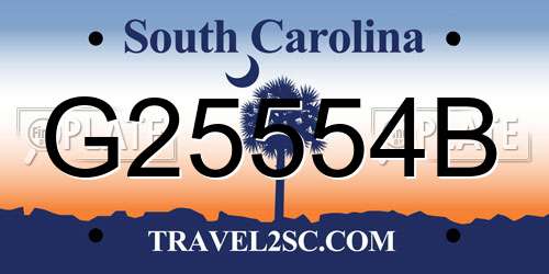 G25554B South Carolina License Plate