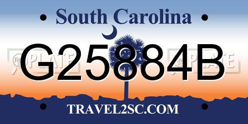 G25884B South Carolina License Plate