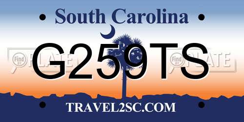G259TS South Carolina License Plate