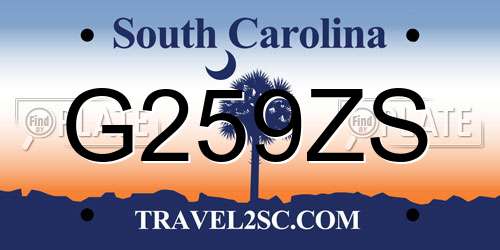 G259ZS South Carolina License Plate
