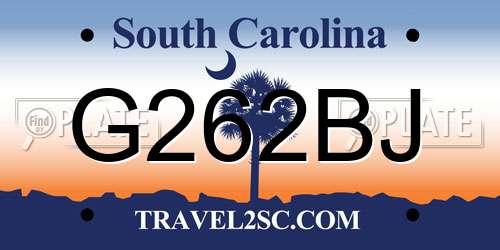 G262BJ South Carolina License Plate