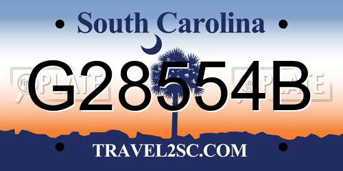G28554B South Carolina License Plate
