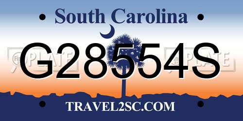 G28554S South Carolina License Plate