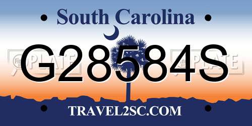 G28584S South Carolina License Plate