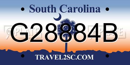 G28884B South Carolina License Plate