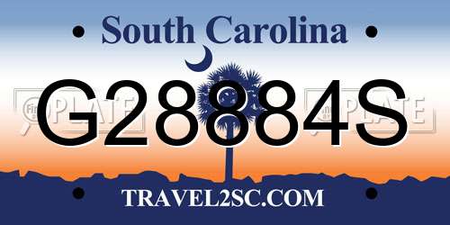 G28884S South Carolina License Plate