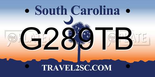 G289TB South Carolina License Plate