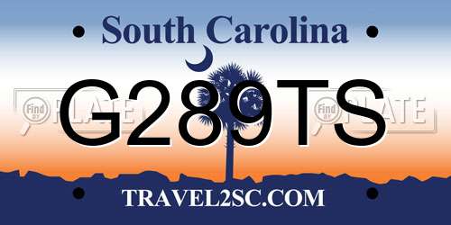 G289TS South Carolina License Plate