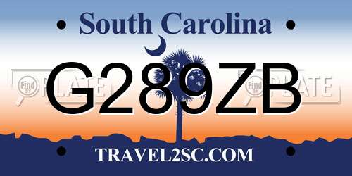 G289ZB South Carolina License Plate