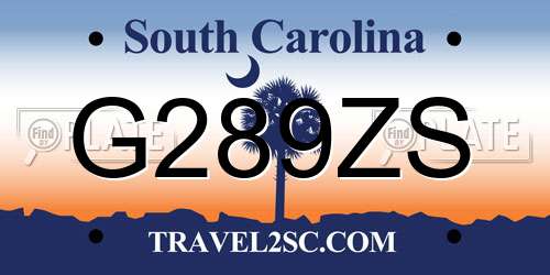 G289ZS South Carolina License Plate