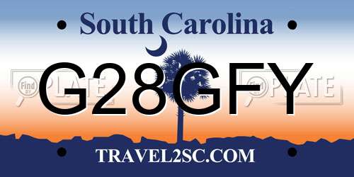 G28GFY South Carolina License Plate