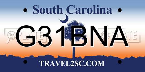 G31BNA South Carolina License Plate