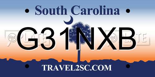 G31NXB South Carolina License Plate