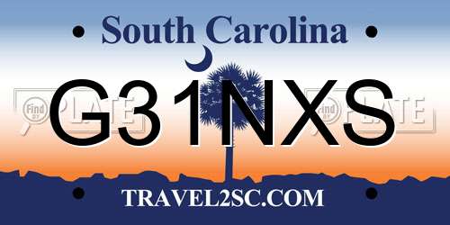 G31NXS South Carolina License Plate